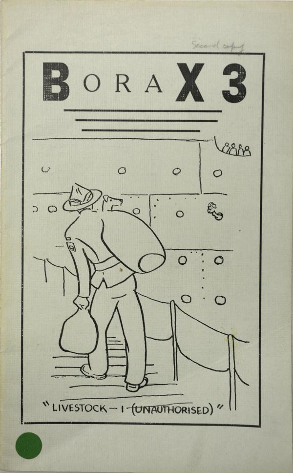 borax4